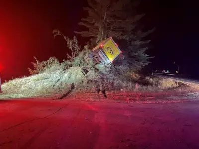N.H. police investigating crash that ‘launched’ box truck into cluster of trees