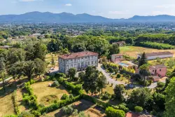 A Tuscan villa once owned by Napoleon Bonaparte’s sister has listed for sale — featuring silk walls and olive groves