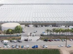 Pot farm raided by immigration agents has open child labor complaint, state says